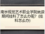 南京视觉艺术职业学院就读期间挂科了怎么办呢？(挂科怎么办)