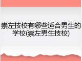 崇左技校有哪些适合男生的学校(崇左男生技校)