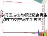 宁河区技校有哪些适合男生的学校(宁河男生技校)
