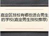 嘉定区技校有哪些适合男生的学校(嘉定男生技校推荐)