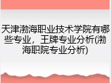 天津渤海职业技术学院有哪些专业，王牌专业分析(渤海职院专业分析)