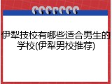 伊犁技校有哪些适合男生的学校(伊犁男校推荐)