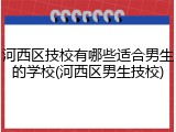 河西区技校有哪些适合男生的学校(河西区男生技校)
