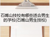 石嘴山技校有哪些适合男生的学校(石嘴山男生技校)