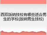 西双版纳技校有哪些适合男生的学校(版纳男生技校)