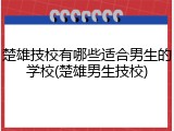 楚雄技校有哪些适合男生的学校(楚雄男生技校)