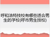 呼和浩特技校有哪些适合男生的学校(呼市男生技校)