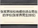 张家界技校有哪些适合男生的学校(张家界男生技校)