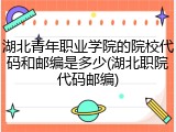 湖北青年职业学院的院校代码和邮编是多少(湖北职院代码邮编)