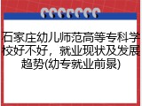石家庄幼儿师范高等专科学校好不好，就业现状及发展趋势(幼专就业前景)