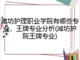 潍坊护理职业学院有哪些专业，王牌专业分析(潍坊护院王牌专业)