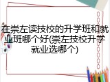在崇左读技校的升学班和就业班哪个好(崇左技校升学就业选哪个)
