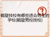 鹤壁技校有哪些适合男生的学校(鹤壁男校技校)