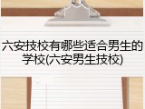 六安技校有哪些适合男生的学校(六安男生技校)