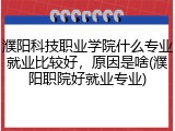 濮阳科技职业学院什么专业就业比较好，原因是啥(濮阳职院好就业专业)