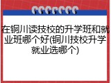 在铜川读技校的升学班和就业班哪个好(铜川技校升学就业选哪个)