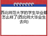 西北师范大学的学生毕业都怎么样了(西北师大毕业生去向)