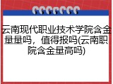 云南现代职业技术学院含金量量吗，值得报吗(云南职院含金量高吗)