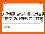 沙坪坝区技校有哪些适合男生的学校(沙坪坝男生技校)