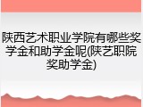 陕西艺术职业学院有哪些奖学金和助学金呢(陕艺职院奖助学金)