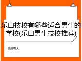 乐山技校有哪些适合男生的学校(乐山男生技校推荐)