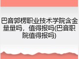 巴音郭楞职业技术学院含金量量吗，值得报吗(巴音职院值得报吗)