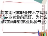 黔东南民族职业技术学院哪些专业就业前景好，为什么(黔东南职院就业优势专业)