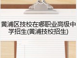 黄浦区技校在哪职业高级中学招生(黄浦技校招生)