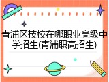青浦区技校在哪职业高级中学招生(青浦职高招生)