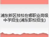 浦东新区技校在哪职业高级中学招生(浦东职校招生)