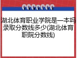 湖北体育职业学院是一本吗录取分数线多少(湖北体育职院分数线)