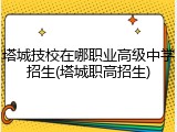 塔城技校在哪职业高级中学招生(塔城职高招生)