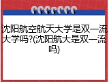 沈阳航空航天大学是双一流大学吗?(沈阳航大是双一流吗)