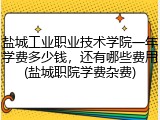 盐城工业职业技术学院一年学费多少钱，还有哪些费用(盐城职院学费杂费)