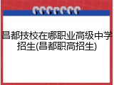 昌都技校在哪职业高级中学招生(昌都职高招生)