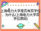 上海电力大学是否有双学位，为什么(上海电力大学双学位原因)