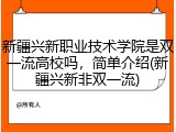新疆兴新职业技术学院是双一流高校吗，简单介绍(新疆兴新非双一流)