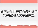 湖南大学共开设有哪些类型奖学金(湖大奖学金类型)