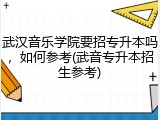 武汉音乐学院要招专升本吗，如何参考(武音专升本招生参考)