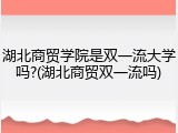 湖北商贸学院是双一流大学吗?(湖北商贸双一流吗)