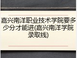 嘉兴南洋职业技术学院要多少分才能进(嘉兴南洋学院录取线)