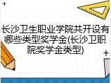 长沙卫生职业学院共开设有哪些类型奖学金(长沙卫职院奖学金类型)