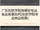 广东东软学院有哪些专业，就业前景如何(东软学院专业就业前景)