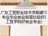广东工贸职业技术学院哪个专业毕业就业前景比较好(工贸学院好就业专业)