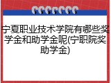 宁夏职业技术学院有哪些奖学金和助学金呢(宁职院奖助学金)