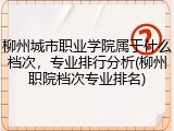 柳州城市职业学院属于什么档次，专业排行分析(柳州职院档次专业排名)