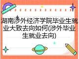 湖南涉外经济学院毕业生就业大致去向如何(涉外毕业生就业去向)