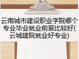 云南城市建设职业学院哪个专业毕业就业前景比较好(云城建院就业好专业)