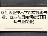 怒江职业技术学院有哪些专业，就业前景如何(怒江职院专业就业)