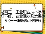 湖南三一工业职业技术学院好不好，就业现状及发展趋势(三一职院就业前景)